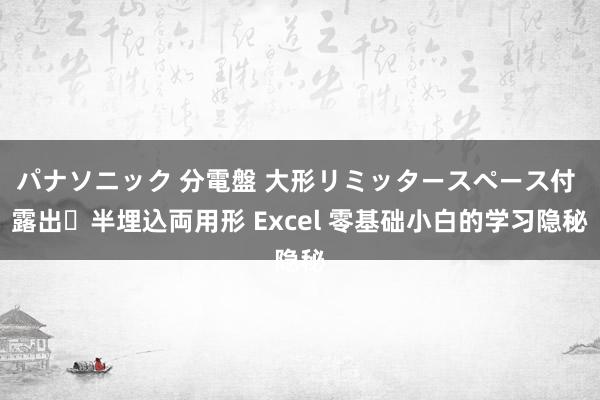 パナソニック 分電盤 大形リミッタースペース付 露出・半埋込両用形 Excel 零基础小白的学习隐秘