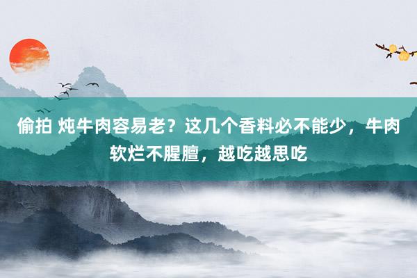 偷拍 炖牛肉容易老？这几个香料必不能少，牛肉软烂不腥膻，越吃越思吃