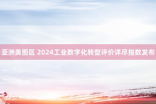 亚洲美图区 2024工业数字化转型评价详尽指数发布