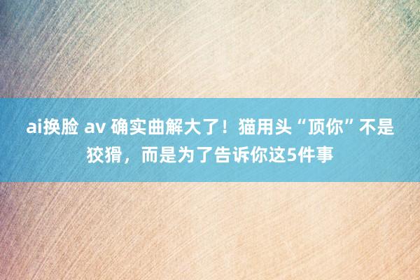 ai换脸 av 确实曲解大了！猫用头“顶你”不是狡猾，而是为了告诉你这5件事