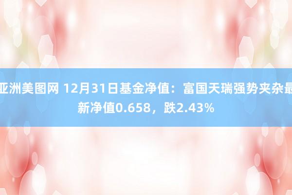 亚洲美图网 12月31日基金净值：富国天瑞强势夹杂最新净值0.658，跌2.43%