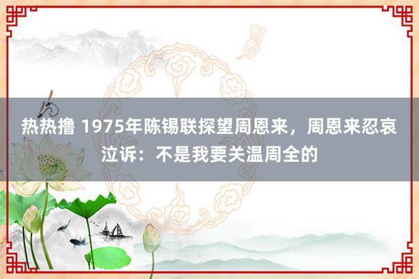 热热撸 1975年陈锡联探望周恩来，周恩来忍哀泣诉：不是我要关温周全的