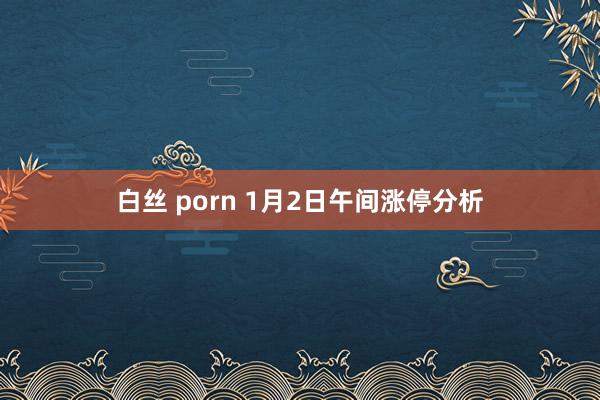 白丝 porn 1月2日午间涨停分析