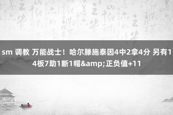 sm 调教 万能战士！哈尔滕施泰因4中2拿4分 另有14板7助1断1帽&正负值+11