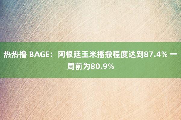 热热撸 BAGE：阿根廷玉米播撒程度达到87.4% 一周前为80.9%