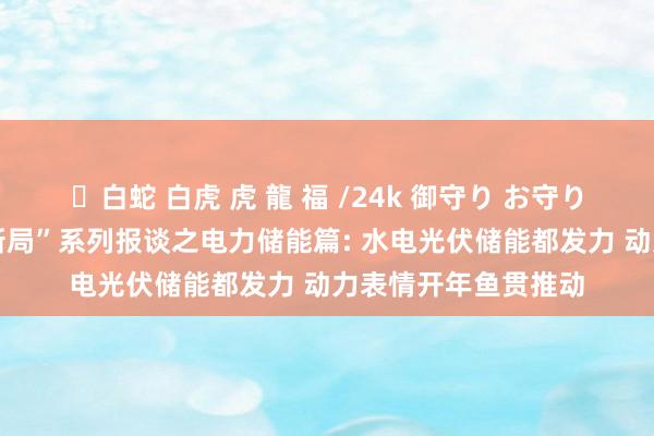 ✨白蛇 白虎 虎 龍 福 /24k 御守り お守り “上市公司红火开新局”系列报谈之电力储能篇: 水电光伏储能都发力 动力表情开年鱼贯推动