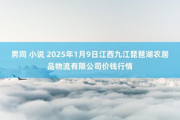 男同 小说 2025年1月9日江西九江琵琶湖农居品物流有限公司价钱行情