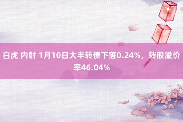 白虎 内射 1月10日大丰转债下落0.24%，转股溢价率46.04%