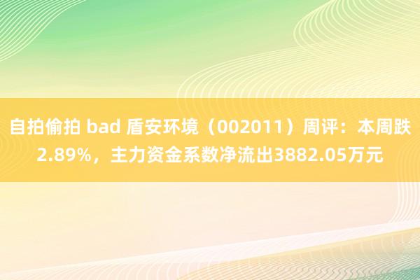 自拍偷拍 bad 盾安环境（002011）周评：本周跌2.89%，主力资金系数净流出3882.05万元