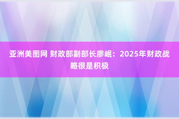 亚洲美图网 财政部副部长廖岷：2025年财政战略很是积极