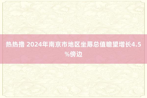 热热撸 2024年南京市地区坐蓐总值瞻望增长4.5%傍边