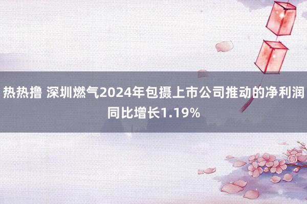 热热撸 深圳燃气2024年包摄上市公司推动的净利润同比增长1.19%