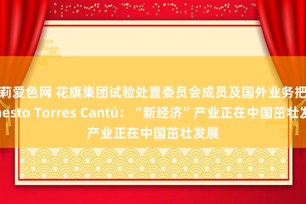 萝莉爱色网 花旗集团试验处置委员会成员及国外业务把持Ernesto Torres Cantú：“新经济”产业正在中国茁壮发展