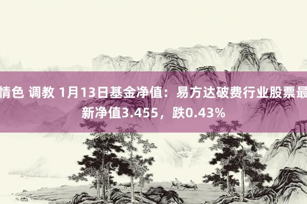 情色 调教 1月13日基金净值：易方达破费行业股票最新净值3.455，跌0.43%