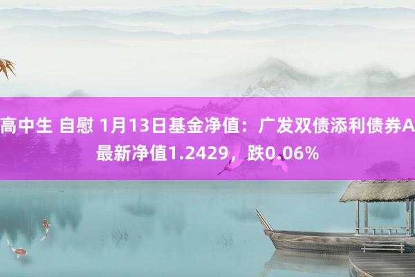 高中生 自慰 1月13日基金净值：广发双债添利债券A最新净值1.2429，跌0.06%