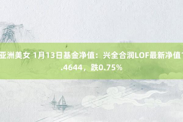 亚洲美女 1月13日基金净值：兴全合润LOF最新净值1.4644，跌0.75%