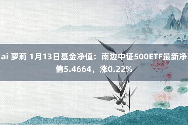 ai 萝莉 1月13日基金净值：南边中证500ETF最新净值5.4664，涨0.22%