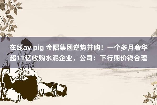 在线av pig 金隅集团逆势并购！一个多月奢华超11亿收购水泥企业，公司：下行期价钱合理