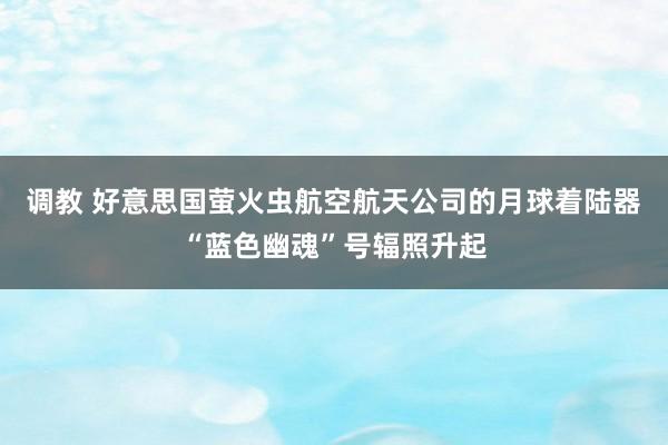 调教 好意思国萤火虫航空航天公司的月球着陆器“蓝色幽魂”号辐照升起